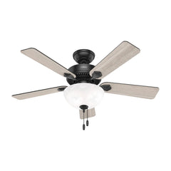 Swanson ENERGY STAR with LED Bowl 44 inch
