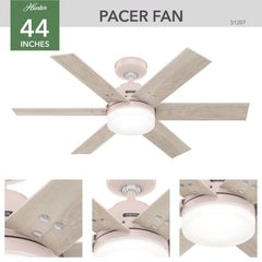 Pacer with LED Light 44 inch