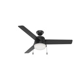 Aker Outdoor with LED Light 52 inch