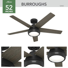 Burroughs 2 LED Lights 52inch