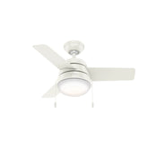 Aker with LED Light 36 inch