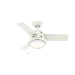Aker with LED Light 36 inch