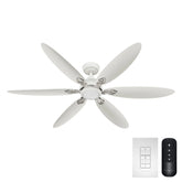 Azalea Outdoor Energy Star DC with LED Light 60 inch with remote and wall control