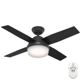 Dempsey with Light 44 inch