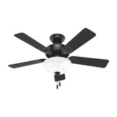 Swanson ENERGY STAR with LED Bowl 44 inch