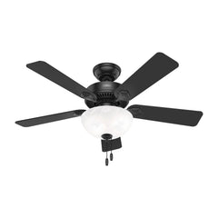 Swanson ENERGY STAR with LED Bowl 44 inch