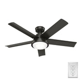 Seawall Outdoor WeatherMax with LED Light 52 inch with remote