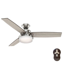 Sentinel with LED Light 52 inch
