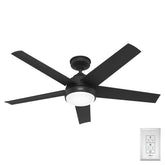 Skyflow Outdoor with LED Light 52 inch
