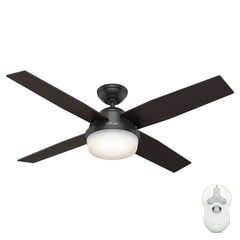 Dempsey Outdoor with Light 52 inch