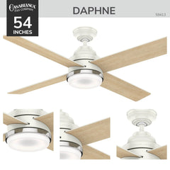 Daphne with LED Light 54 inch