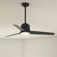 52 Inch Moxie with LED light-Smart