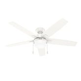 Anisten ENERGY STAR with LED Light 52 inch