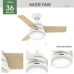 Aker with LED Light 36 inch