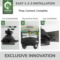 Georgetown Indoor HunterExpress with LED Light 52 inch with remote