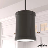 Capshaw 1 Light Pendant