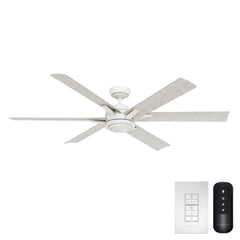Melia Outdoor ENERGY STAR DC with LED Light 65 inch with remote and wall control