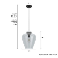 Vidria Smoked Glass 1 Light 12 Inch Pendant