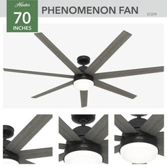 Phenomenon Indoor Smart Fan ENERGY STAR with LED Light 70 inch with Wall Control