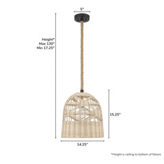 Baskel 1 Light Large 14 Inch Pendant