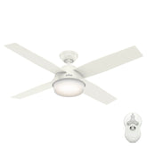 Dempsey Outdoor with Light 52 inch