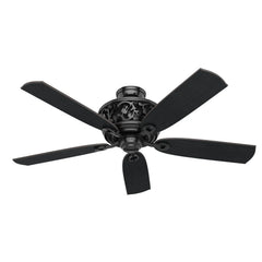 Promenade ENERGY STAR with 3 Lights 54 inch with Remote