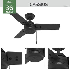 Cassius Outdoor 36 inch