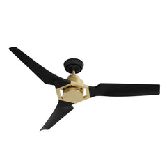 Eula Outdoor ENERGY STAR DC with LED Light 52 inch with remote and wall control