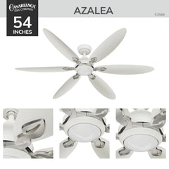 Azalea Outdoor Energy Star DC with LED Light 60 inch with remote and wall control