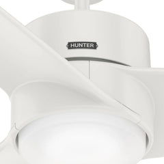 Havoc with LED Light 54 Inch