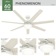 Phenomenon Indoor Smart Fan ENERGY STAR with LED Light 60 inch with Wall Control
