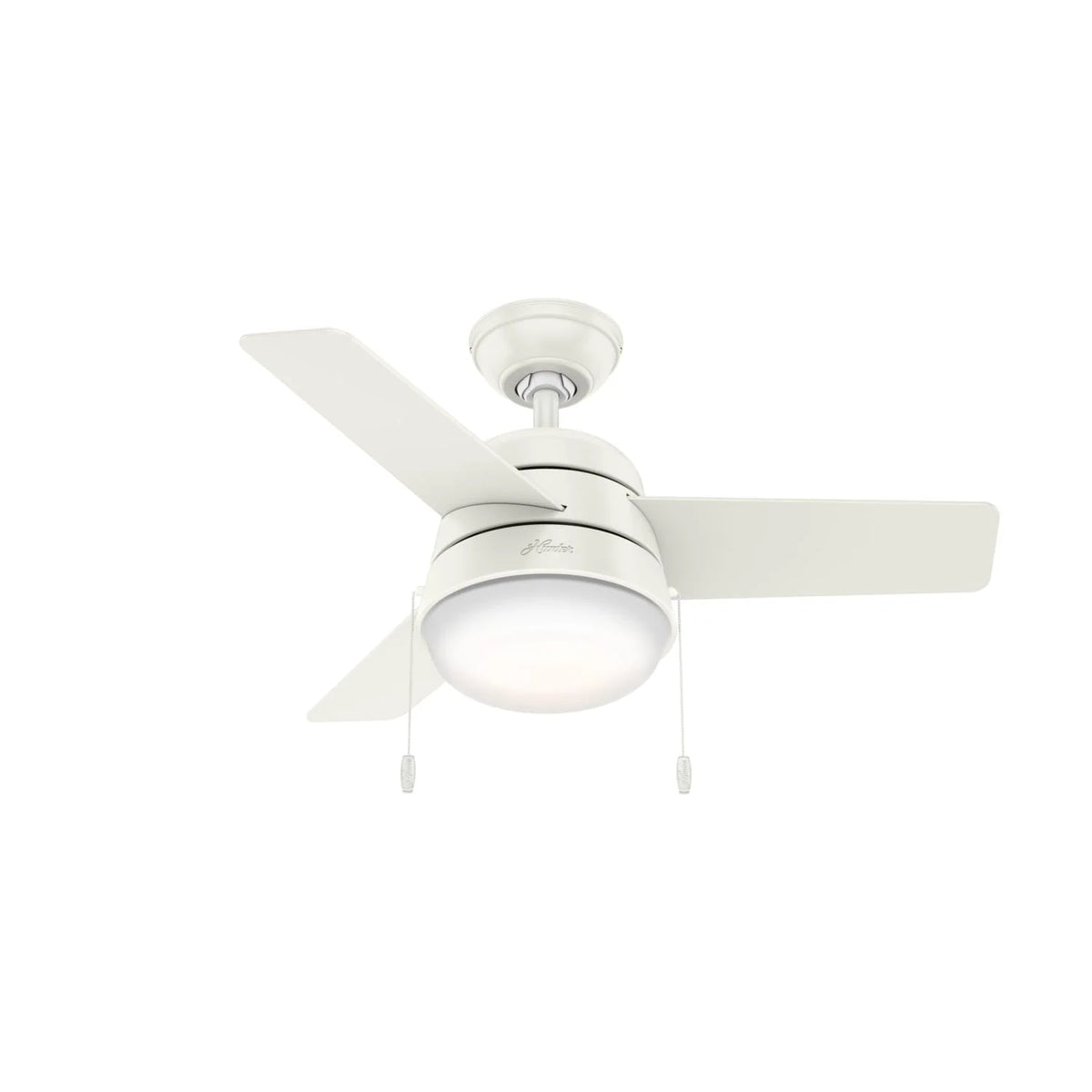 Aker with LED Light 36 inch