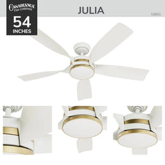 Julia Outdoor Energy Star DC with LED Light 52 inch with remote and wall control