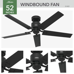 Windbound Outdoor 52 inch