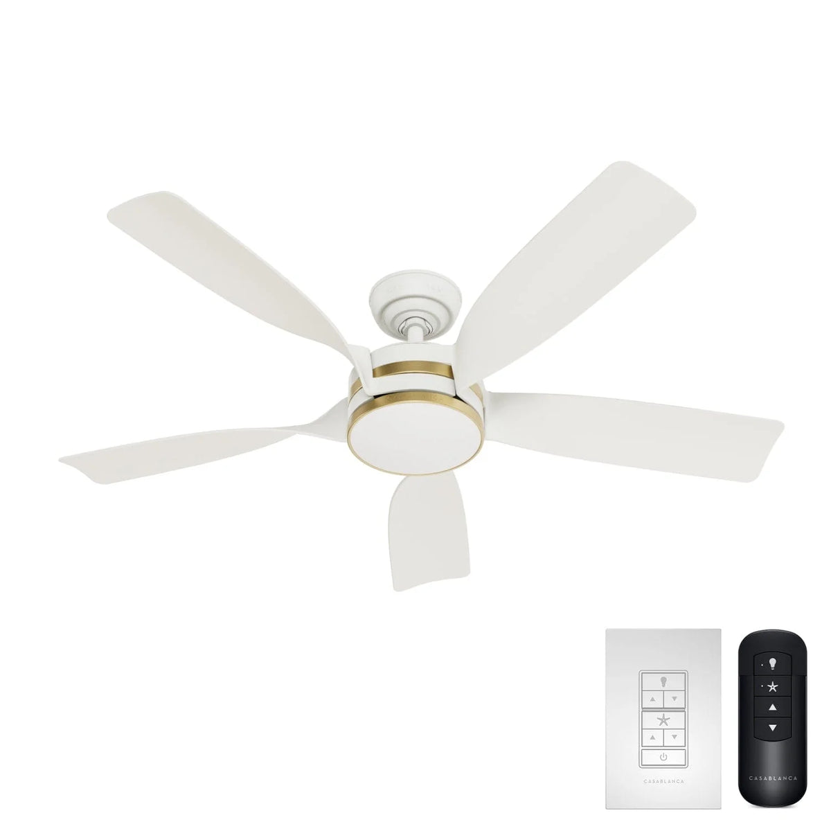 Julia Outdoor Energy Star DC with LED Light 52 inch with remote and wall control