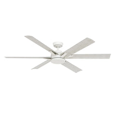 Melia Outdoor ENERGY STAR DC with LED Light 65 inch with remote and wall control