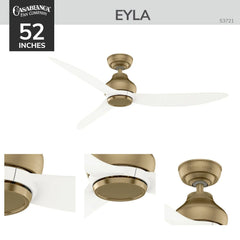 Eyla Outdoor ENERGY STAR 52 inch with wall control and remote
