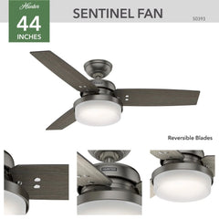 Sentinel with LED Light 44 inch