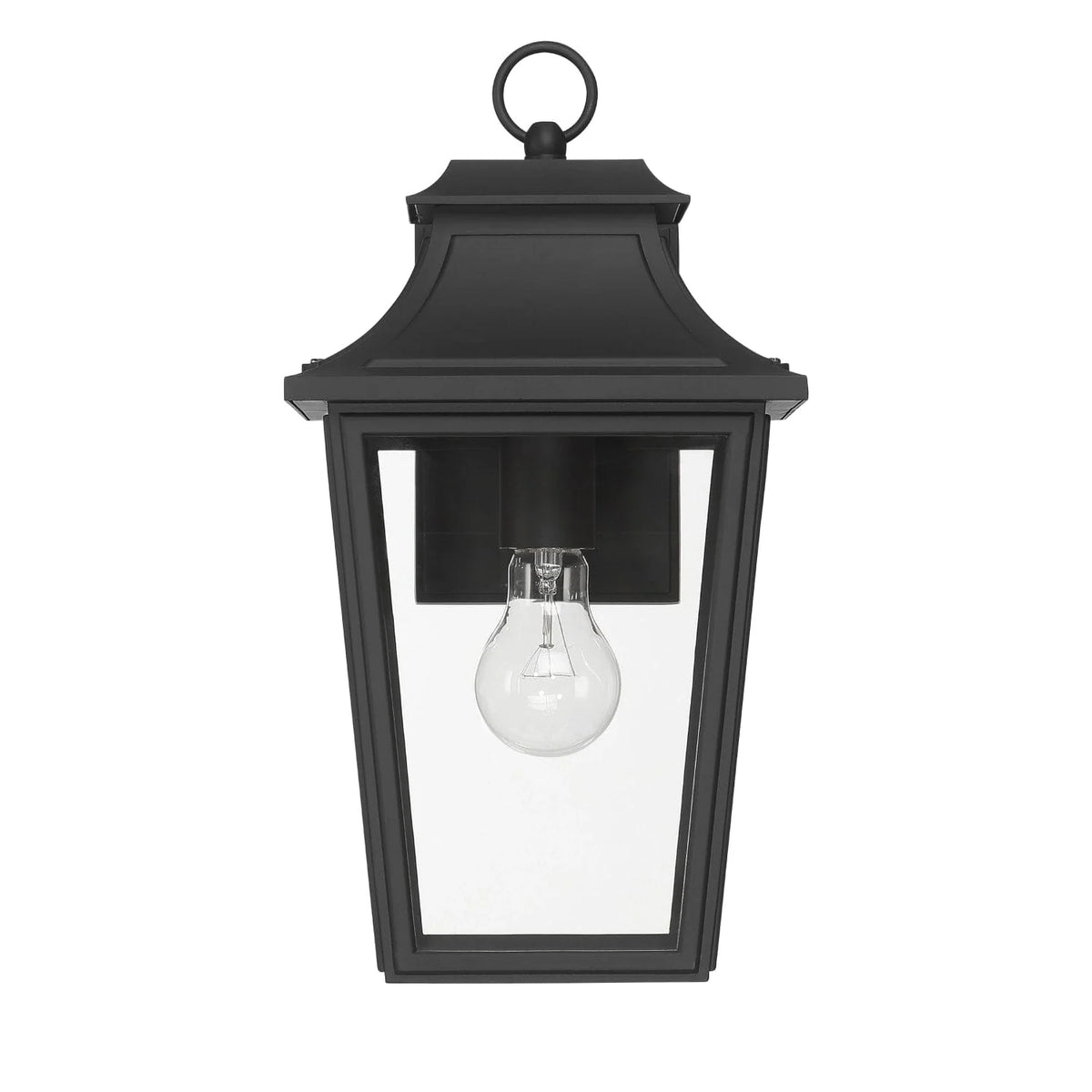 Spring Cove Outdoor 1 Light Medium 15 Inch Wall Light