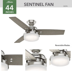 Sentinel with LED Light 44 inch