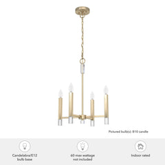 Sunjai 4 Light Pendant