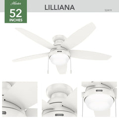 Lilliana with 2 LED Lights 52 inch