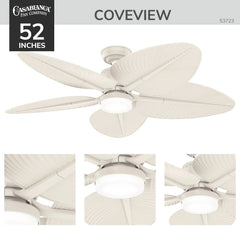 Coveview Outdoor with LED Light 52 inch with wall control and remote