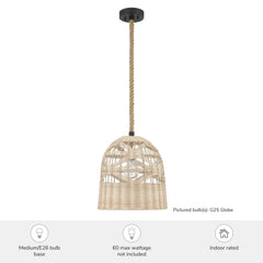 Baskel 1 Light Large 14 Inch Pendant