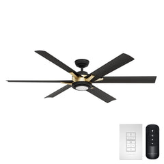 Melia Outdoor ENERGY STAR DC with LED Light 65 inch with remote and wall control
