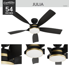 Julia Outdoor Energy Star DC with LED Light 52 inch with remote and wall control