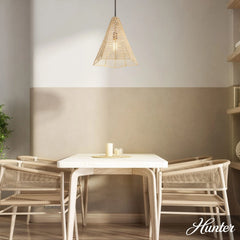 Comet 1 Light Large 16 Inch Pendant