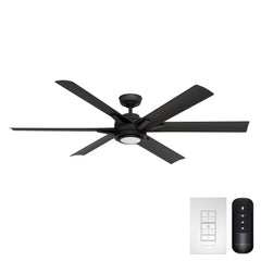Melia Outdoor ENERGY STAR DC with LED Light 65 inch with remote and wall control